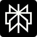 Perplexity logo